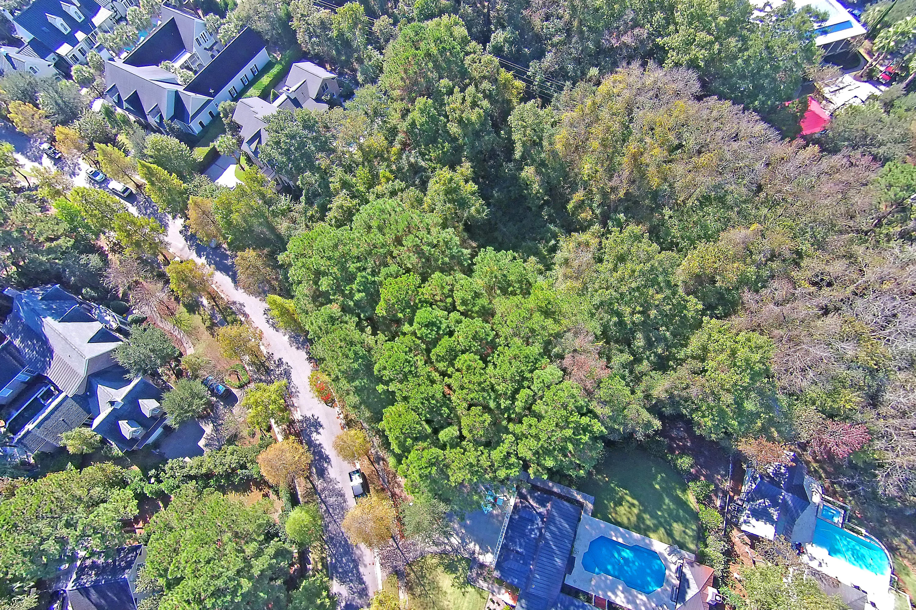 727 Navigators Run Mount Pleasant, SC 29464 - Photo 19 of 23 Lot from Above