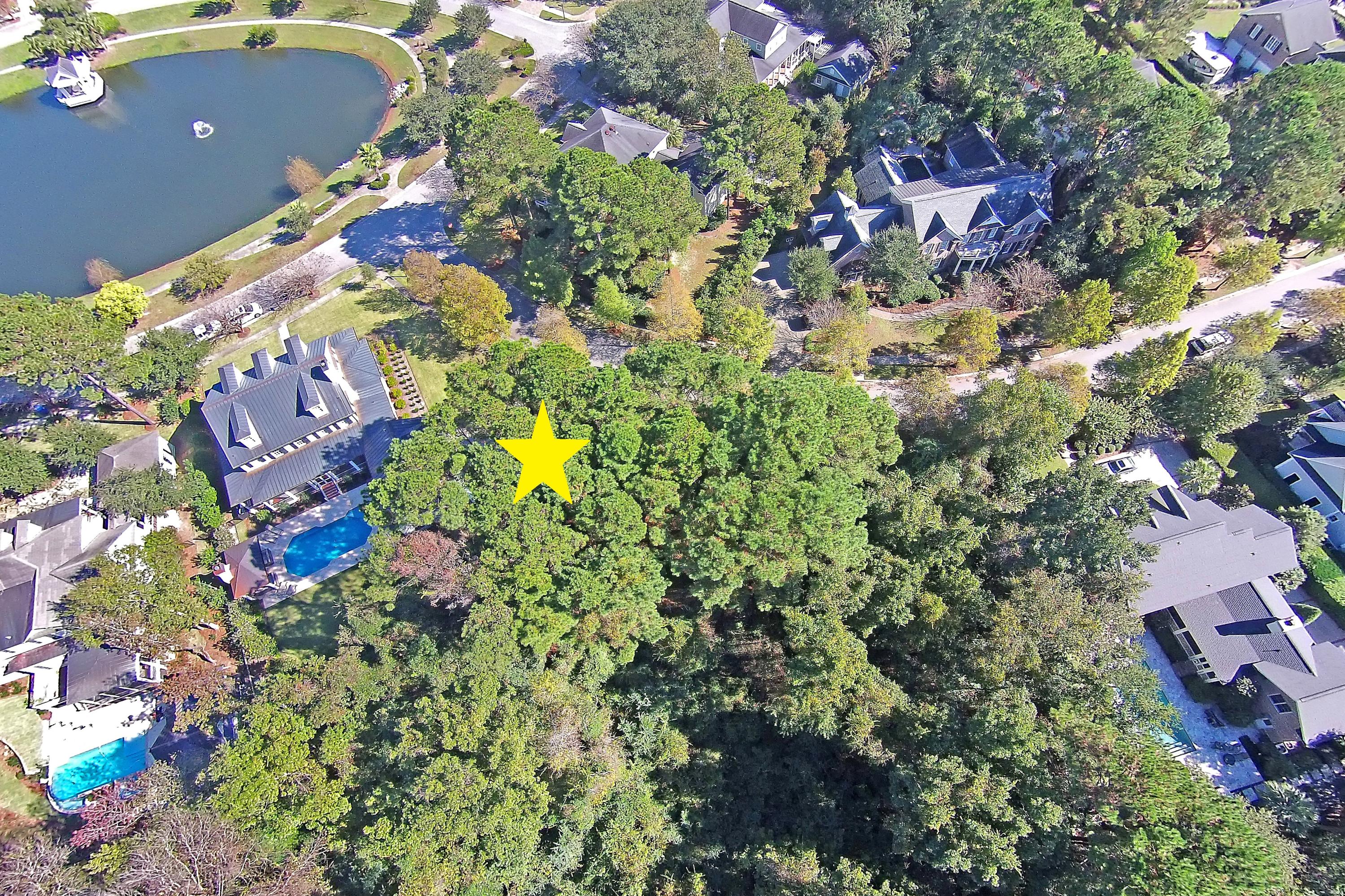 727 Navigators Run Mount Pleasant, SC 29464 - Photo 22 of 23 Lot from Above