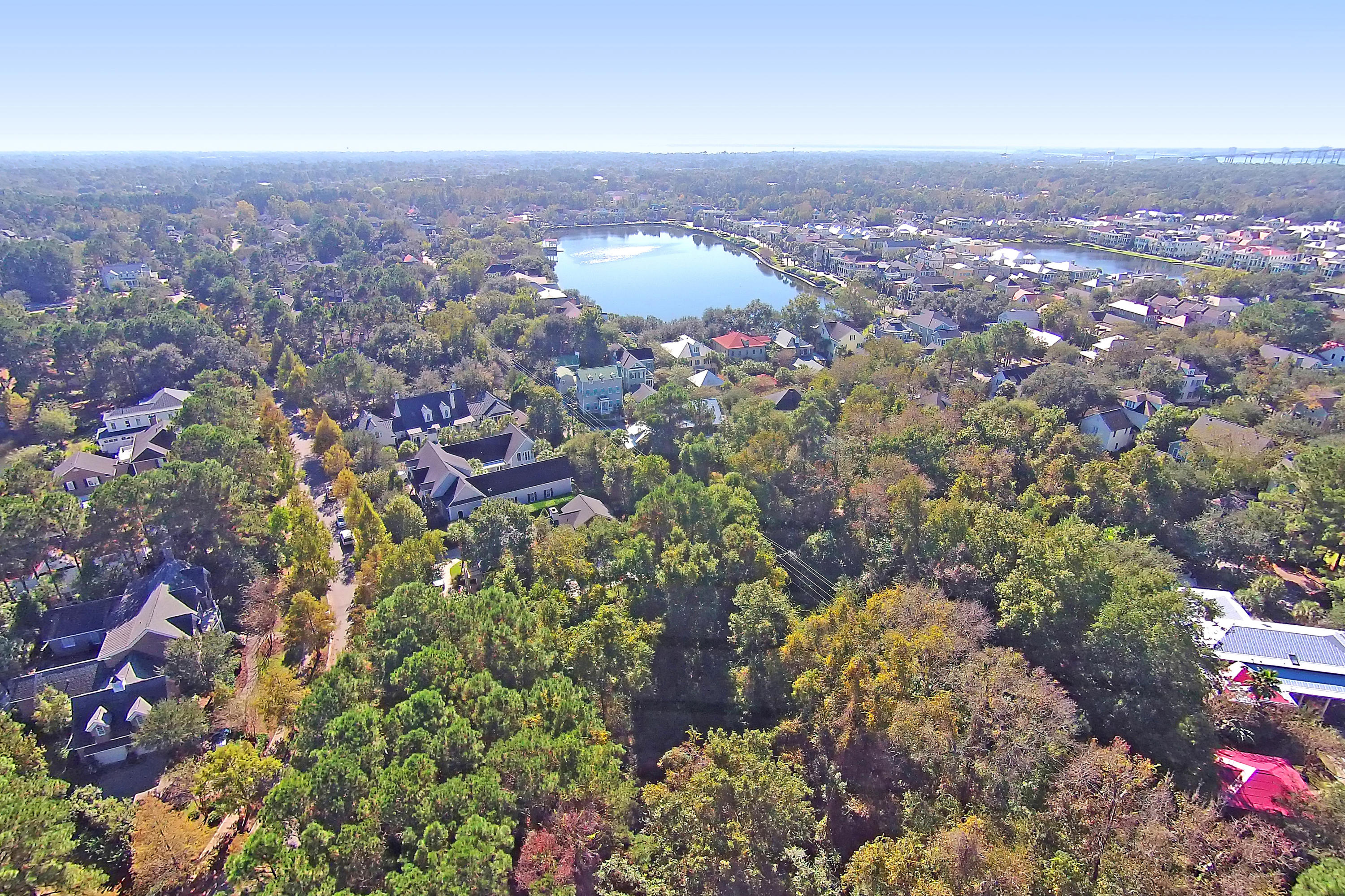 727 Navigators Run Mount Pleasant, SC 29464 - Photo 23 of 23 Lot from Above and Common Area
