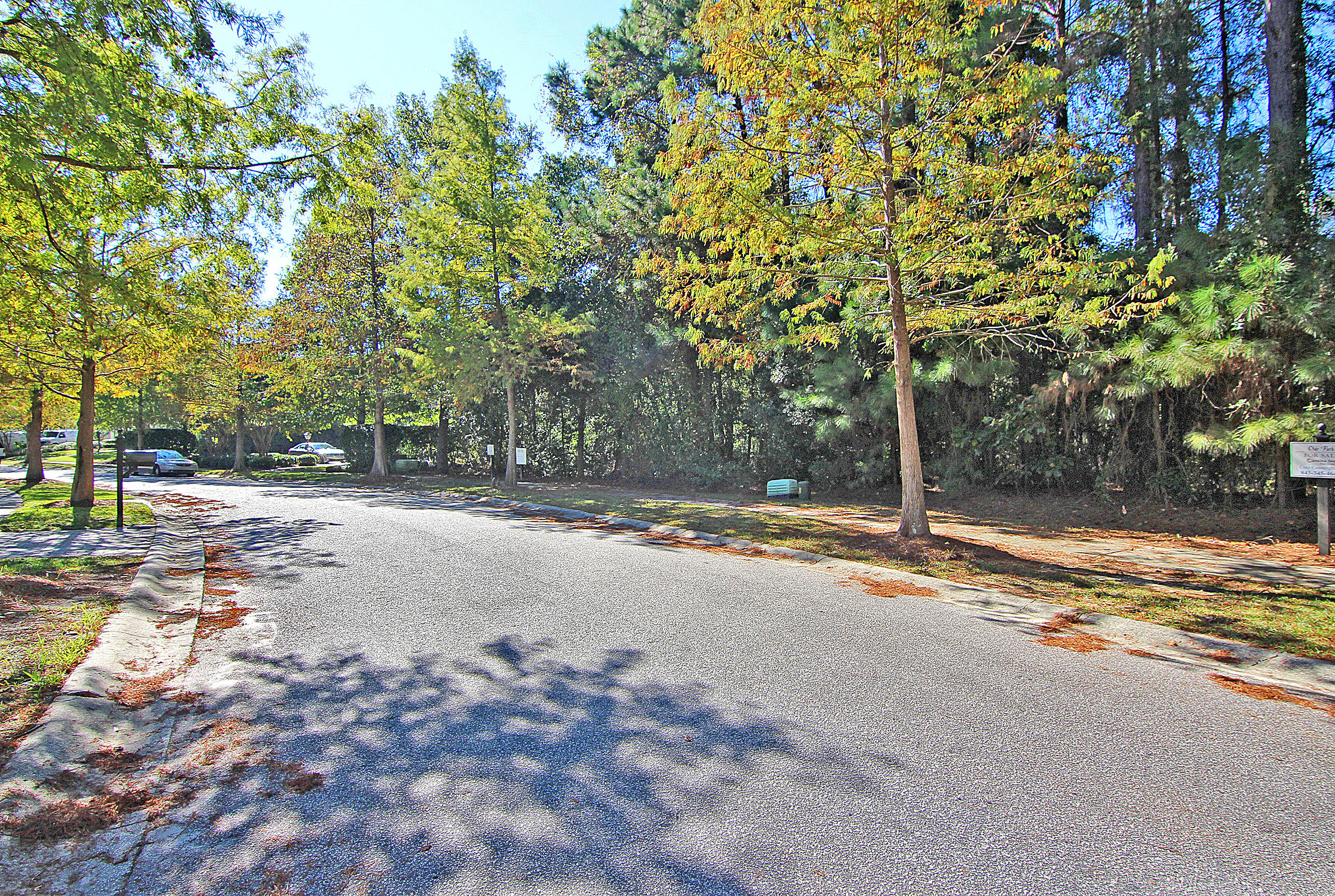 727 Navigators Run Mount Pleasant, SC 29464 - Photo 7 of 23 Lot Frontage