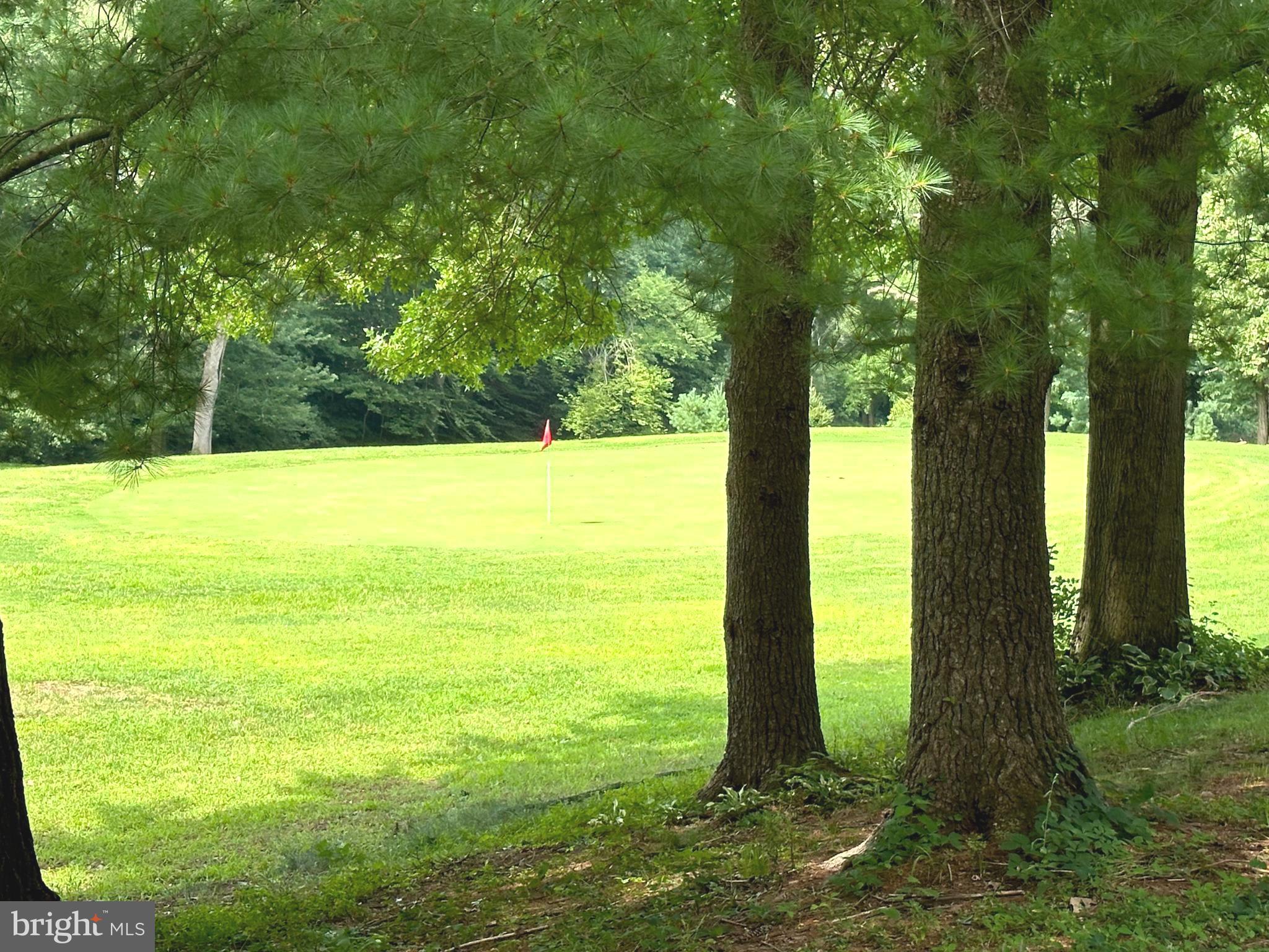 91 Burning Tree Lane Reading, PA 19607 - Photo 15 of 28 17th Fairway View