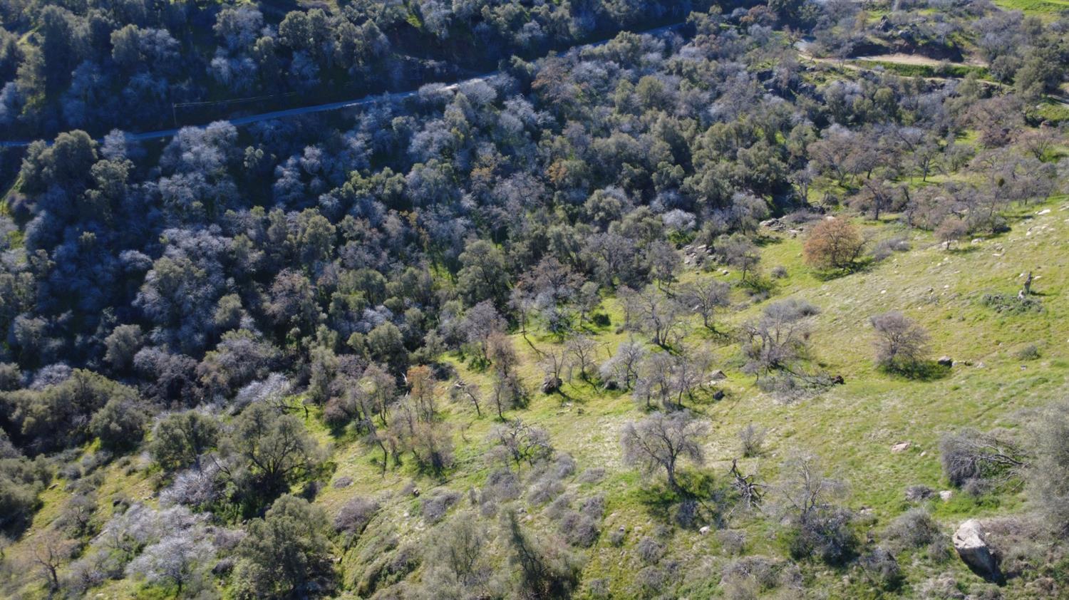 0 Ruth Hill Road Squaw Valley, CA 93675 - Photo 23 of 31