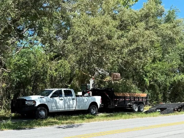 a view of yard with car parked