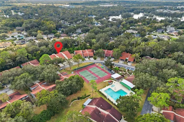 a picture of flowers