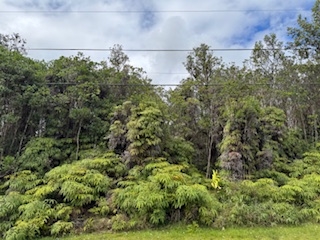 8024 Pikake Street Mountain View, HI 96771 - Photo 12 of 14