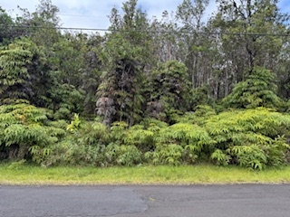 8024 Pikake Street Mountain View, HI 96771 - Photo 2 of 14