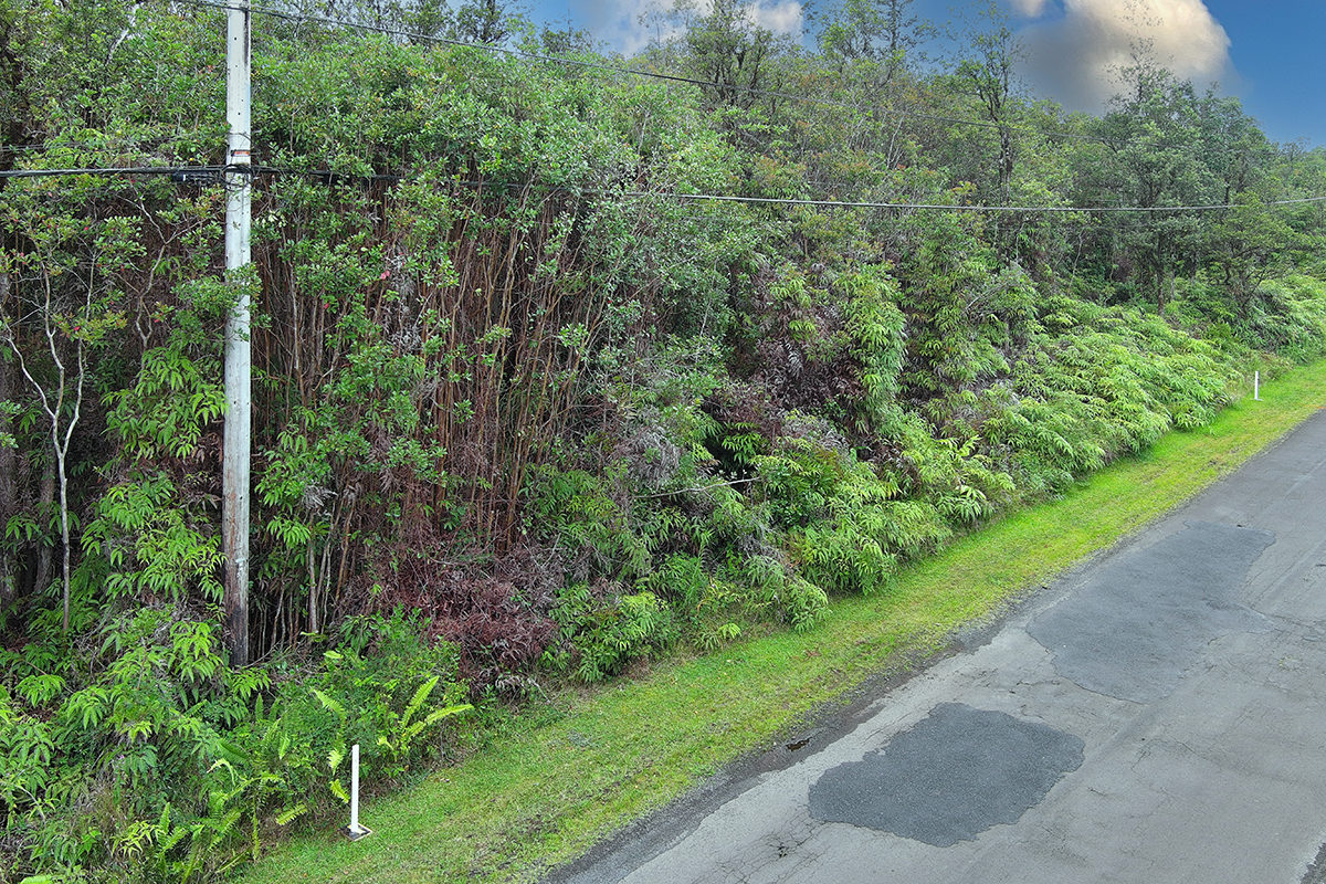 8024 Pikake Street Mountain View, HI 96771 - Photo 5 of 14