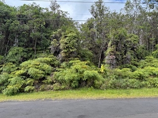 8024 Pikake Street Mountain View, HI 96771 - Photo 9 of 14