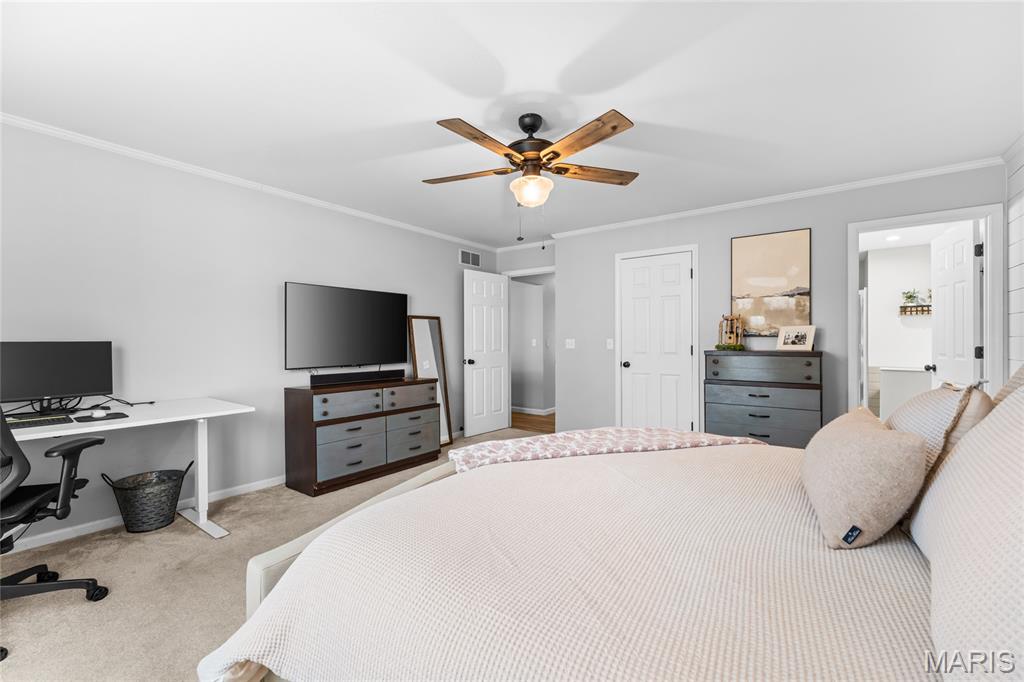 497 Mary Drive Waterloo, IL 62298 - Photo 21 of 41