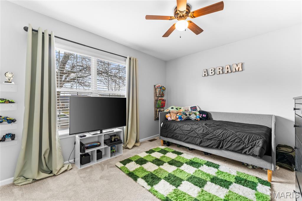 497 Mary Drive Waterloo, IL 62298 - Photo 28 of 41