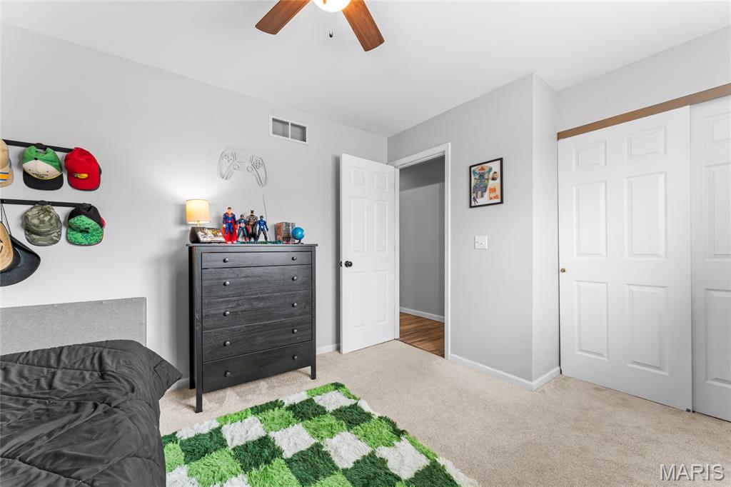 497 Mary Drive Waterloo, IL 62298 - Photo 29 of 41