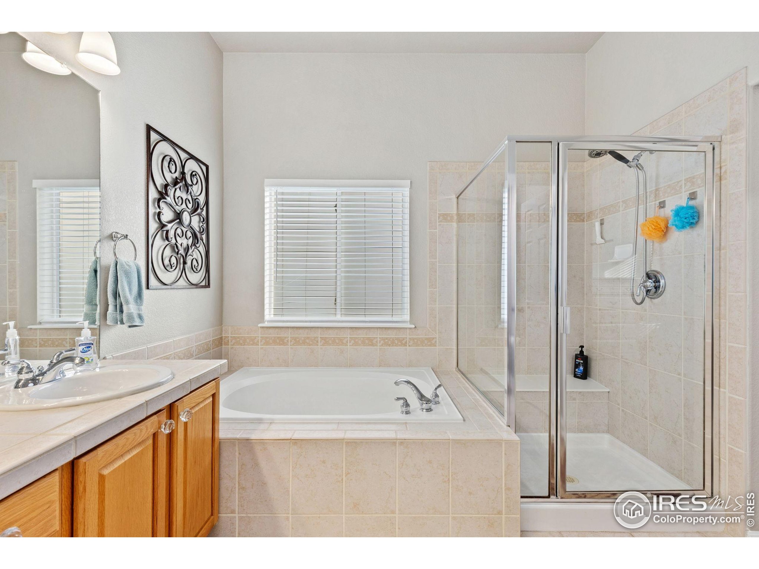 10166 Scenic Court Firestone, CO 80504 - Photo 18 of 33 a bathroom with a sink a mirror and a bathtub