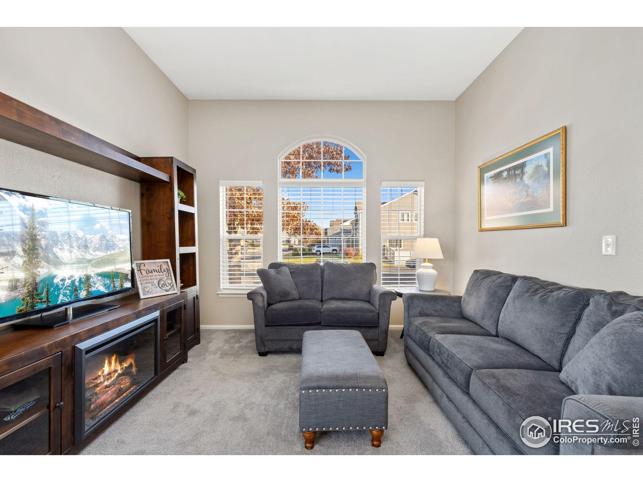 10166 Scenic Court Firestone, CO 80504 - Photo 6 of 33 a living room with furniture and a flat screen tv