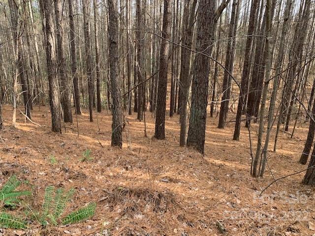 0 Chasewood Drive, Unit 16 Rutherfordton, NC 28139 - Photo 1 of 15