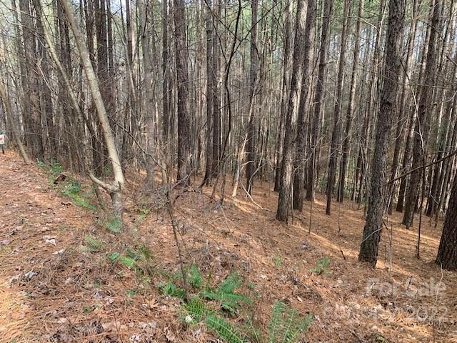 0 Chasewood Drive, Unit 16 Rutherfordton, NC 28139 - Photo 3 of 15