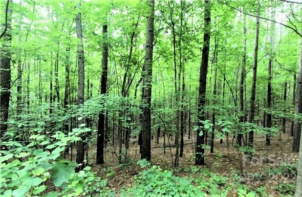 0 Chasewood Drive, Unit 16 Rutherfordton, NC 28139 - Photo 4 of 15