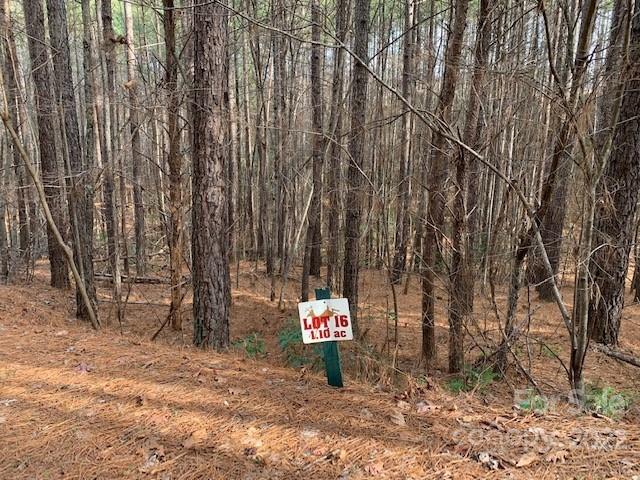 0 Chasewood Drive, Unit 16 Rutherfordton, NC 28139 - Photo 5 of 15