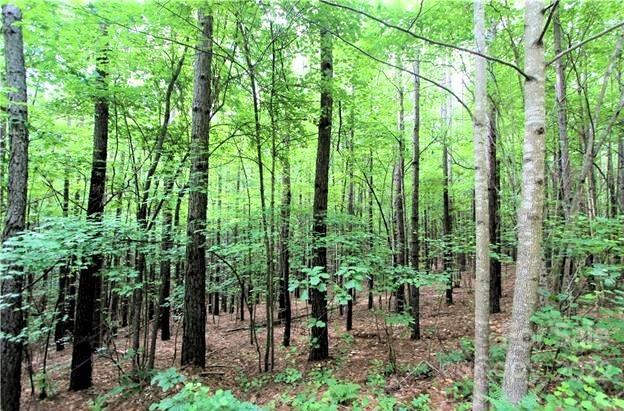 0 Chasewood Drive, Unit 16 Rutherfordton, NC 28139 - Photo 6 of 15