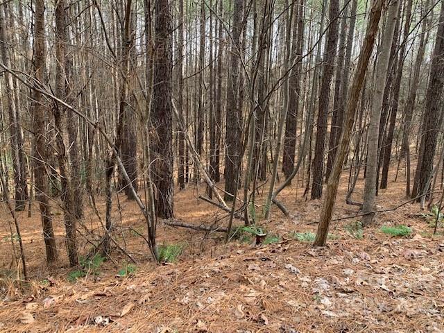 0 Chasewood Drive, Unit 16 Rutherfordton, NC 28139 - Photo 7 of 15