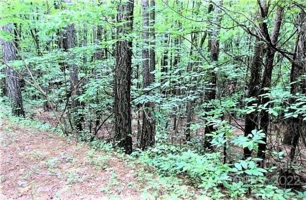 0 Chasewood Drive, Unit 16 Rutherfordton, NC 28139 - Photo 8 of 15