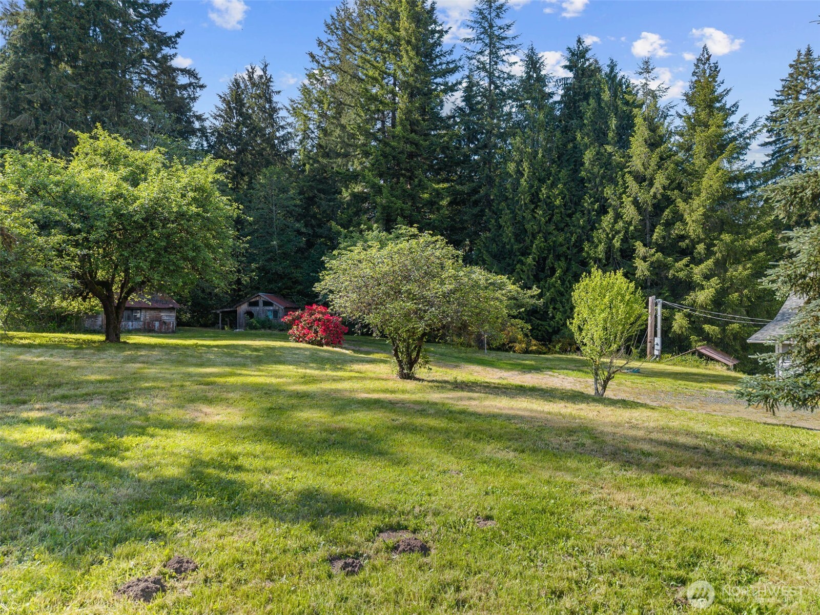 172 South Bank Road Elma, WA 98541 - Photo 34 of 40 a view of building with trees