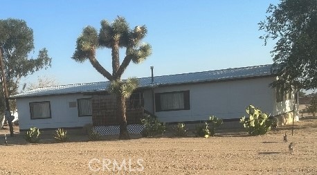 Front of the House with trees and cactus