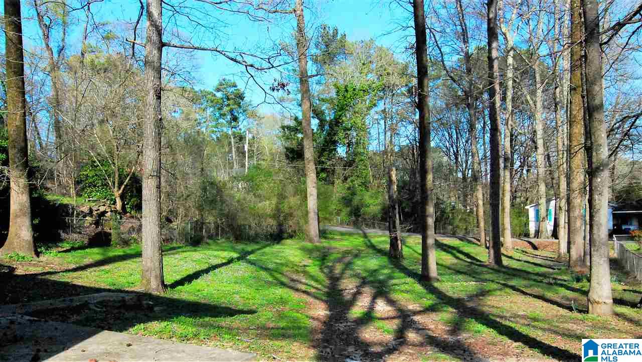 421 Del Rio Drive Birmingham, AL 35235 - Photo 2 of 9