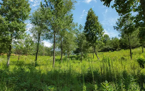 $90,000 | 26 Arbor Creek Trail, Mineral Bluff, GA 30559