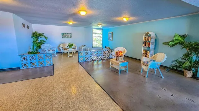 a view of a park with large trees