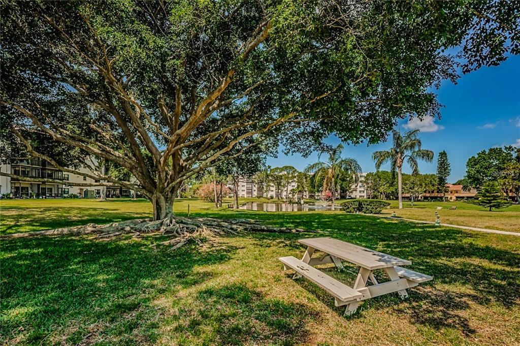 5660 80th Street North, Unit A303 St. Petersburg, FL 33709 - Photo 33 of 72 a view of a park with large trees