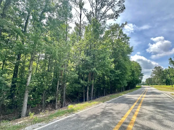 $371,250 | 1 Highway 483, Lena, MS 39094
