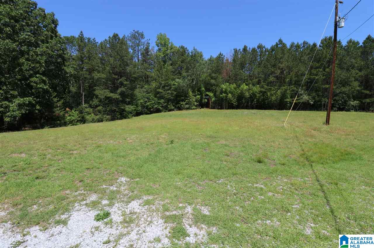 144 Rodeo Drive Pell City, AL 35128 - Photo 24 of 27