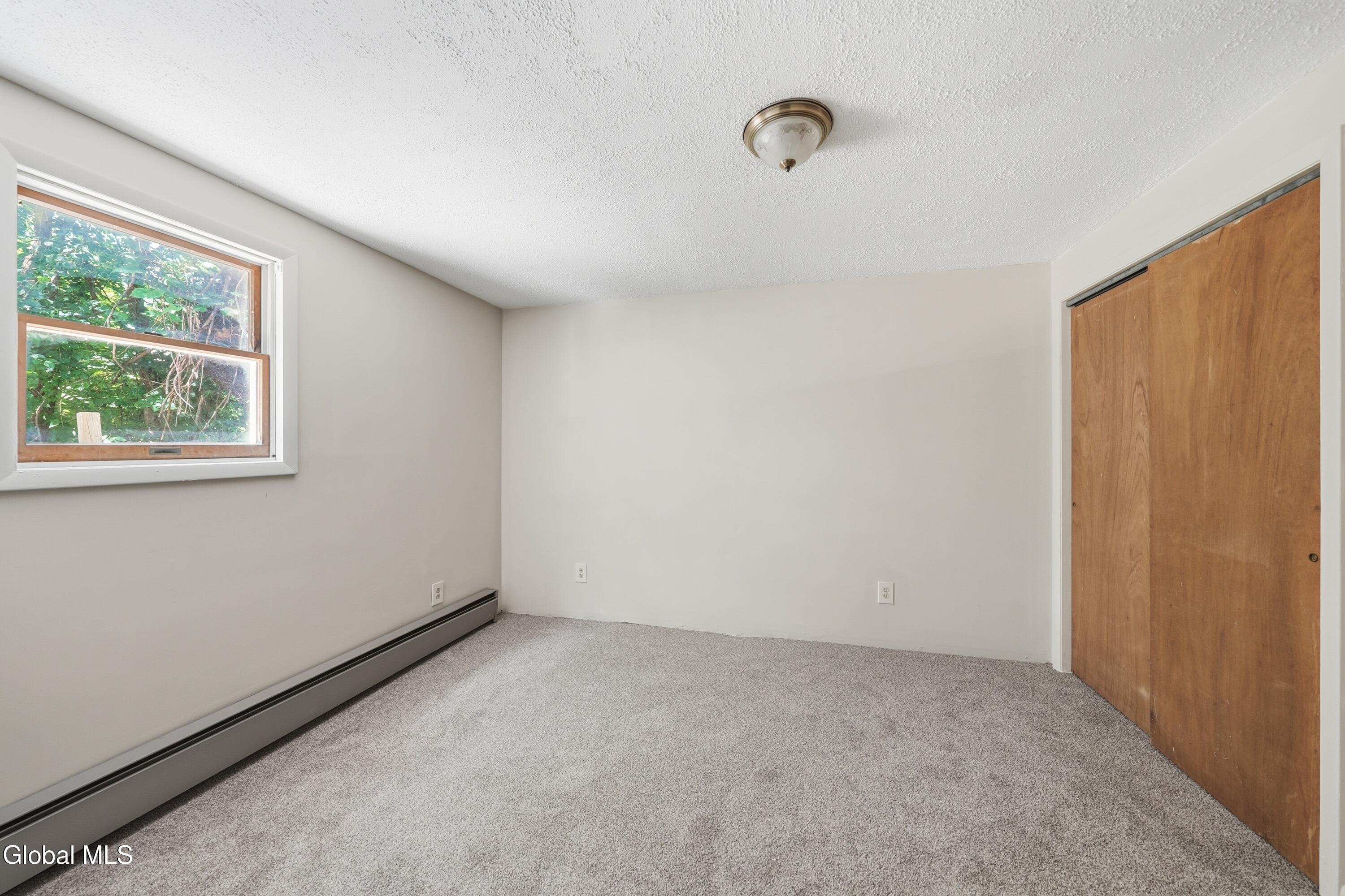 1117 Balltown Road Niskayuna, NY 12309 - Photo 33 of 39 DSC03315