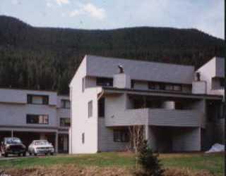 Primary Photo