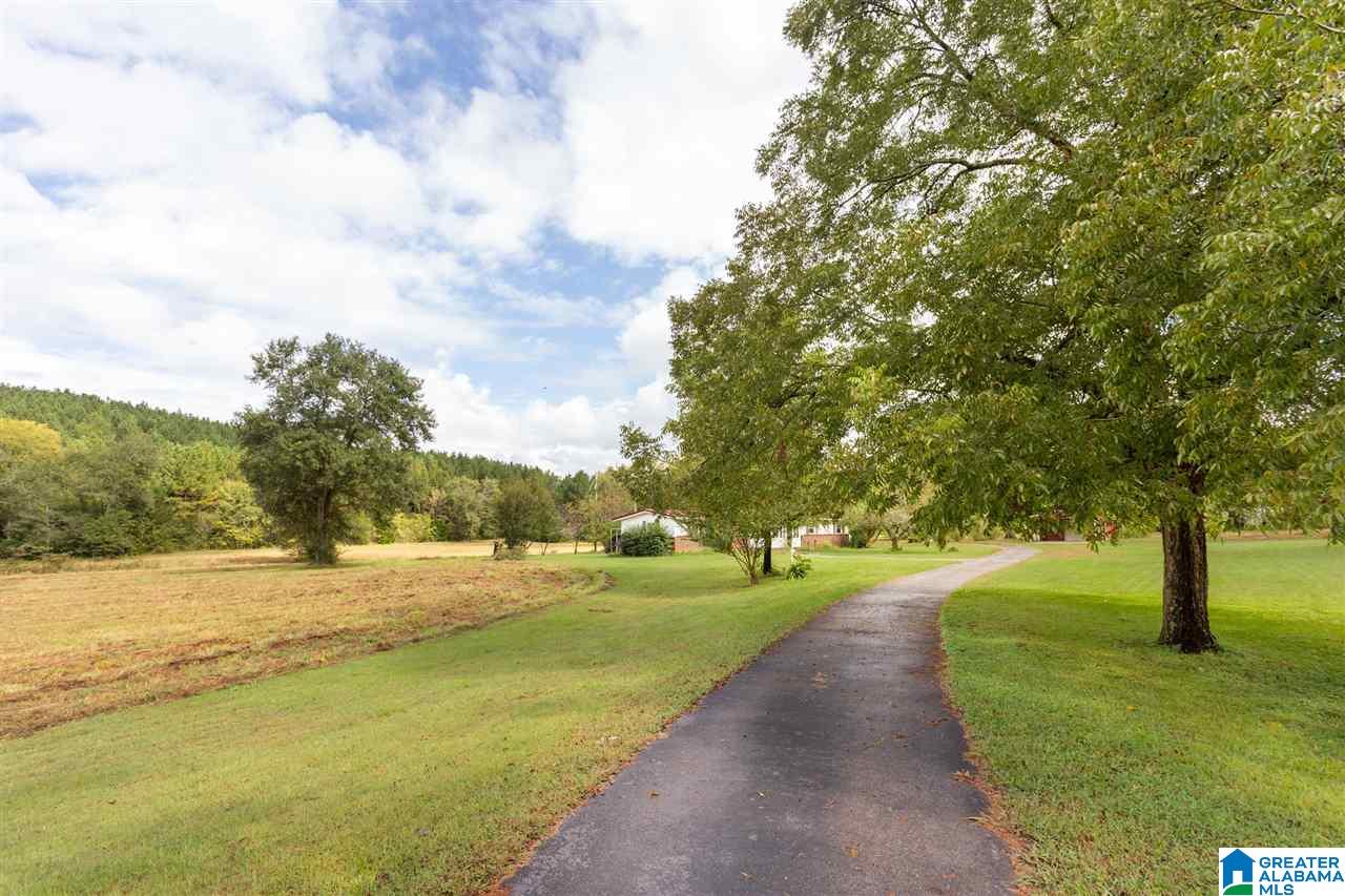 577 Richeytown Road Eastaboga, AL 36260 - Photo 3 of 42