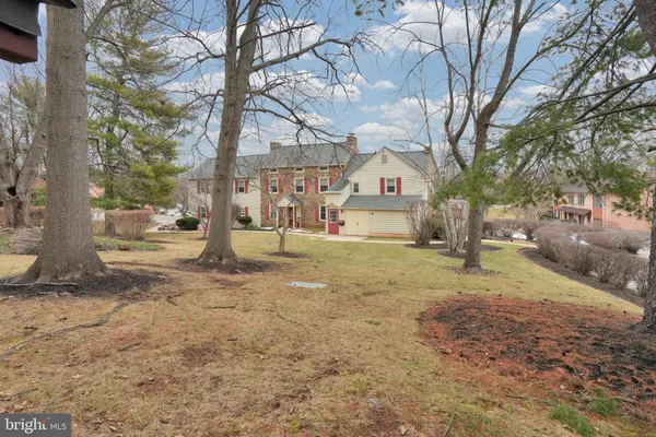 a view of a yard with a tree