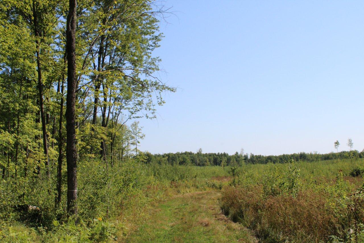 Off Danish Settlement Road Phillips, WI 54555 - Photo 11 of 20 Gallery Image 11