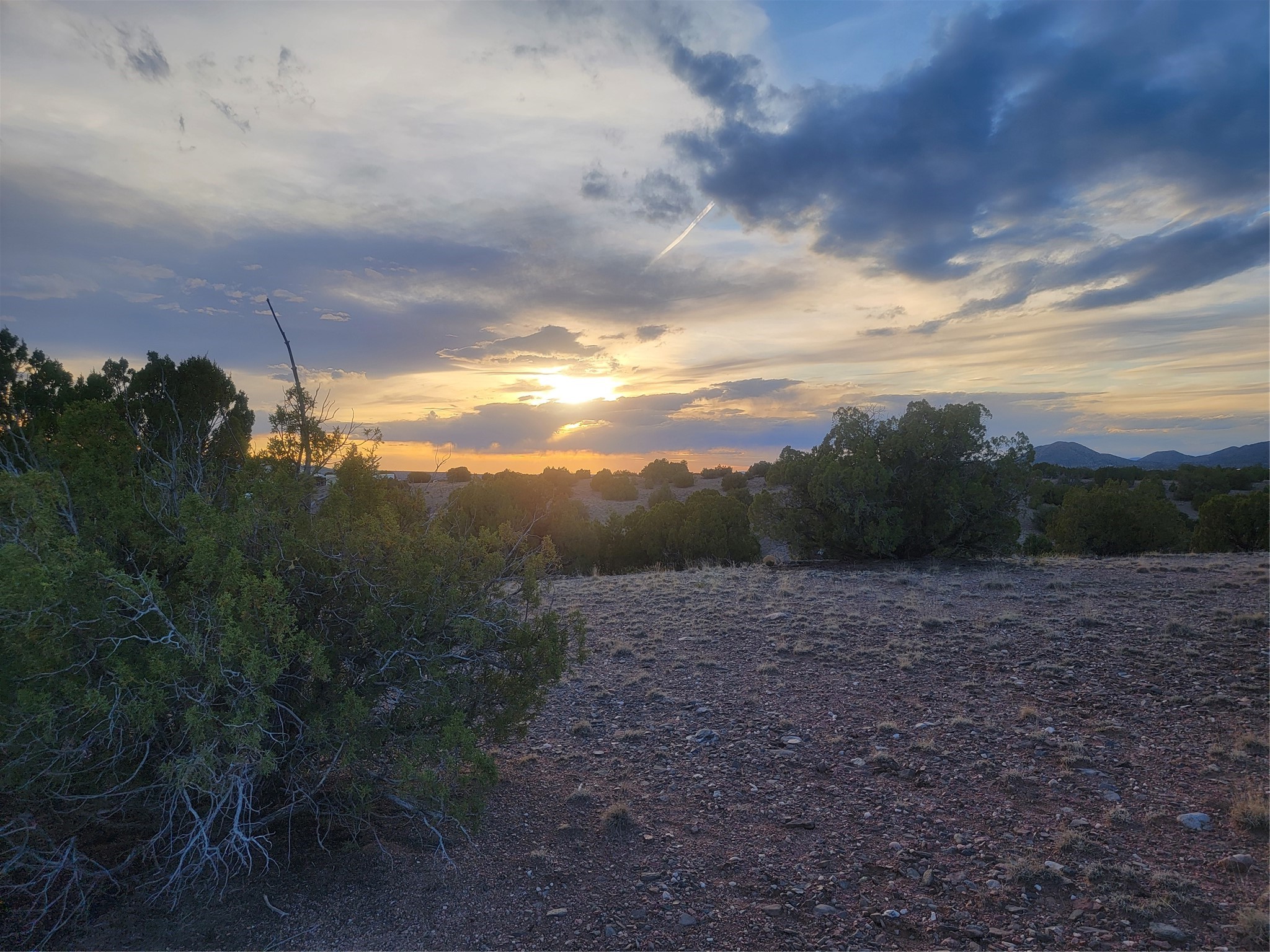 218 Horny Toad Road Cerrillos, NM 87010 - Photo 3 of 16