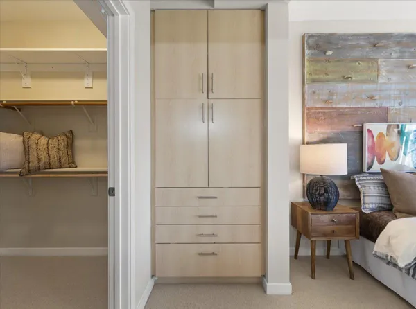 a close view of closet