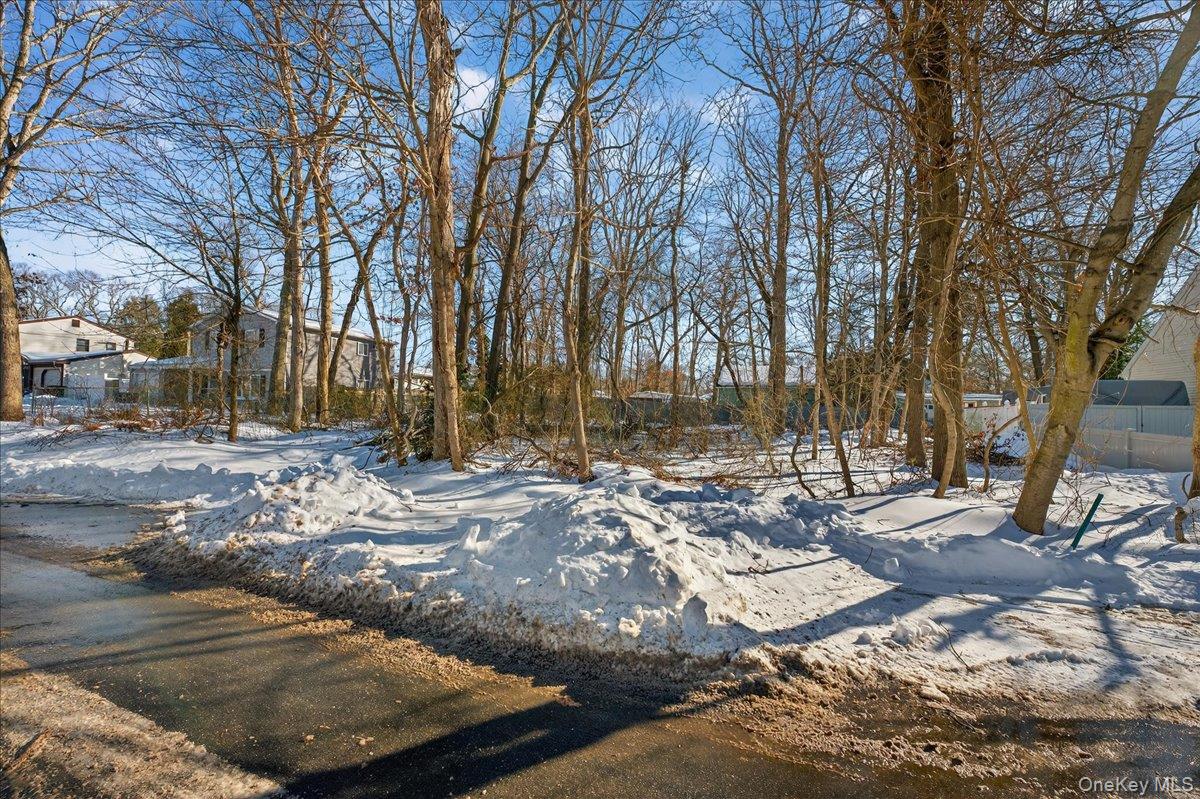 175 Main Avenue Mastic, NY 11950 - Photo 14 of 14