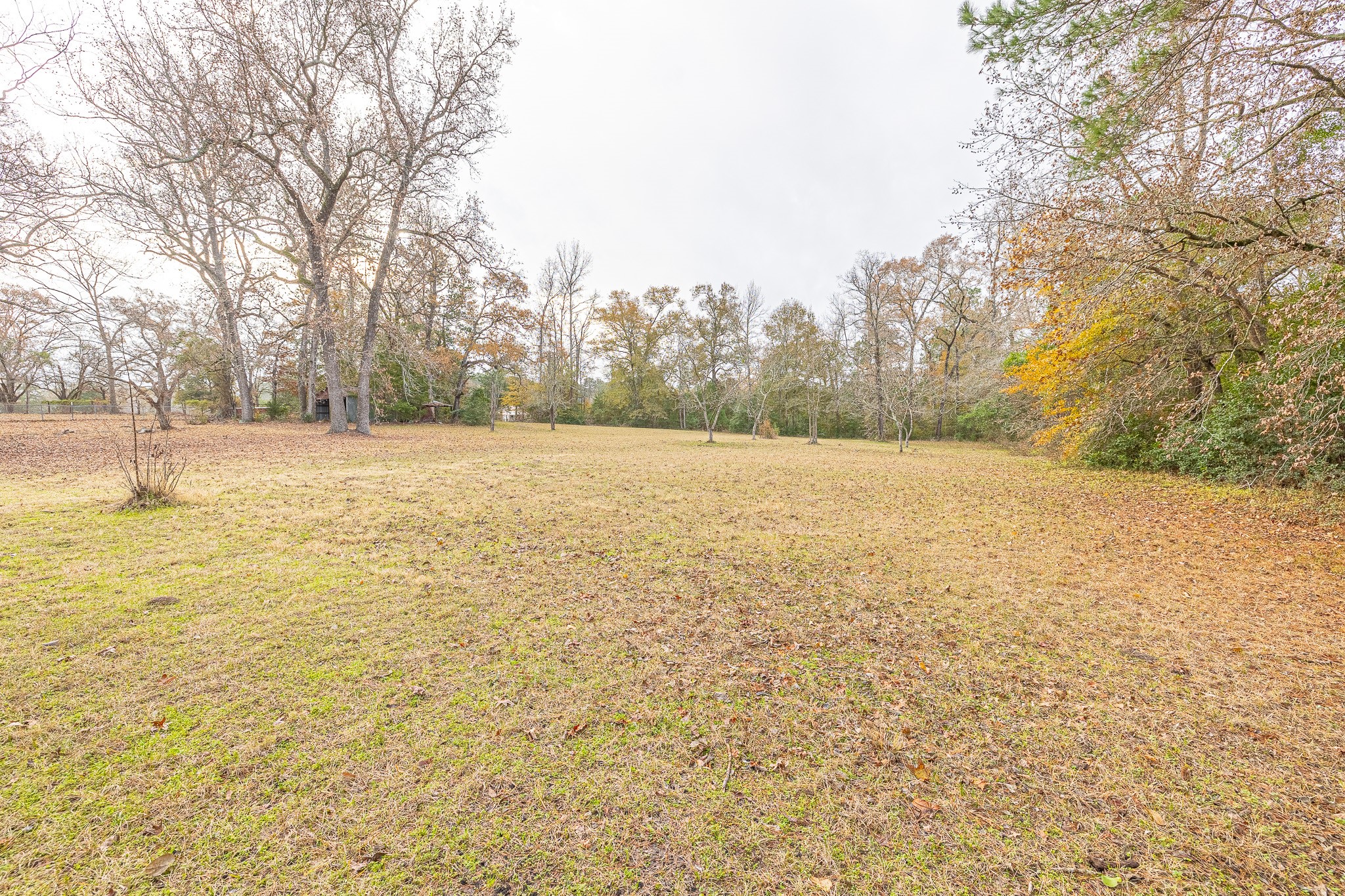 1029 Fish Hatchery Road, Unit B Huntsville, TX 77320 - Photo 19 of 23