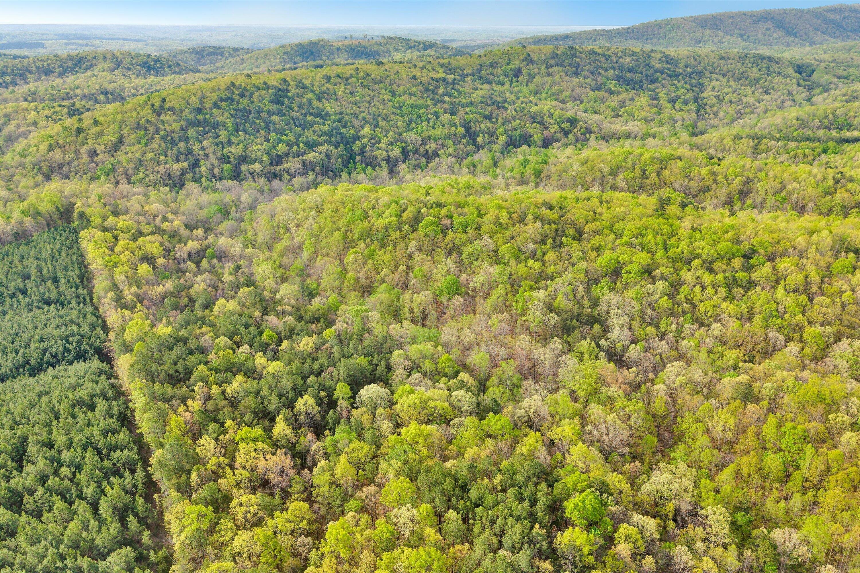 0 Roach Road Huddleston, VA 24104 - Photo 12 of 17 11-SGP-0706