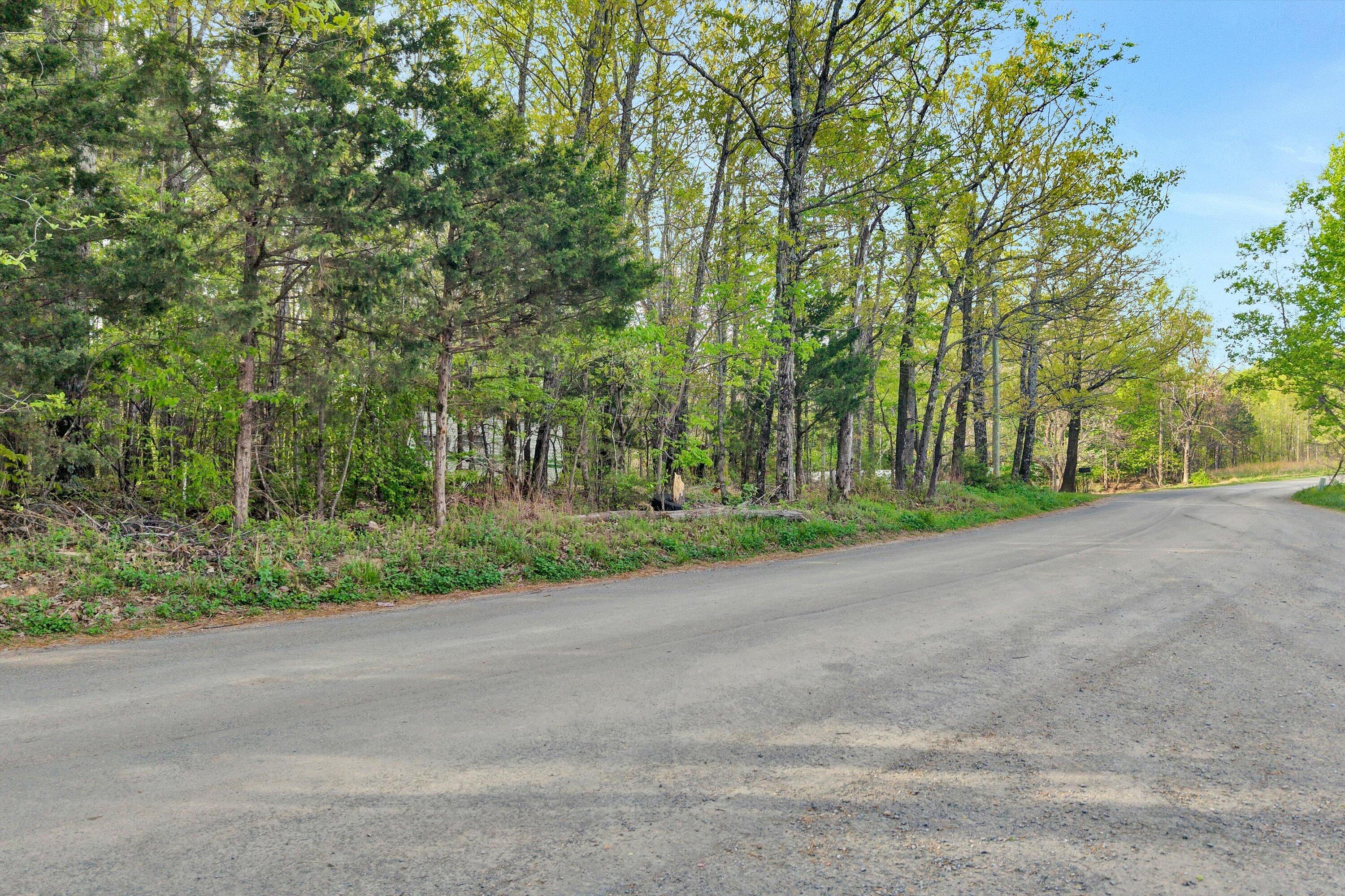 0 Roach Road Huddleston, VA 24104 - Photo 4 of 17 03-SGP-0677
