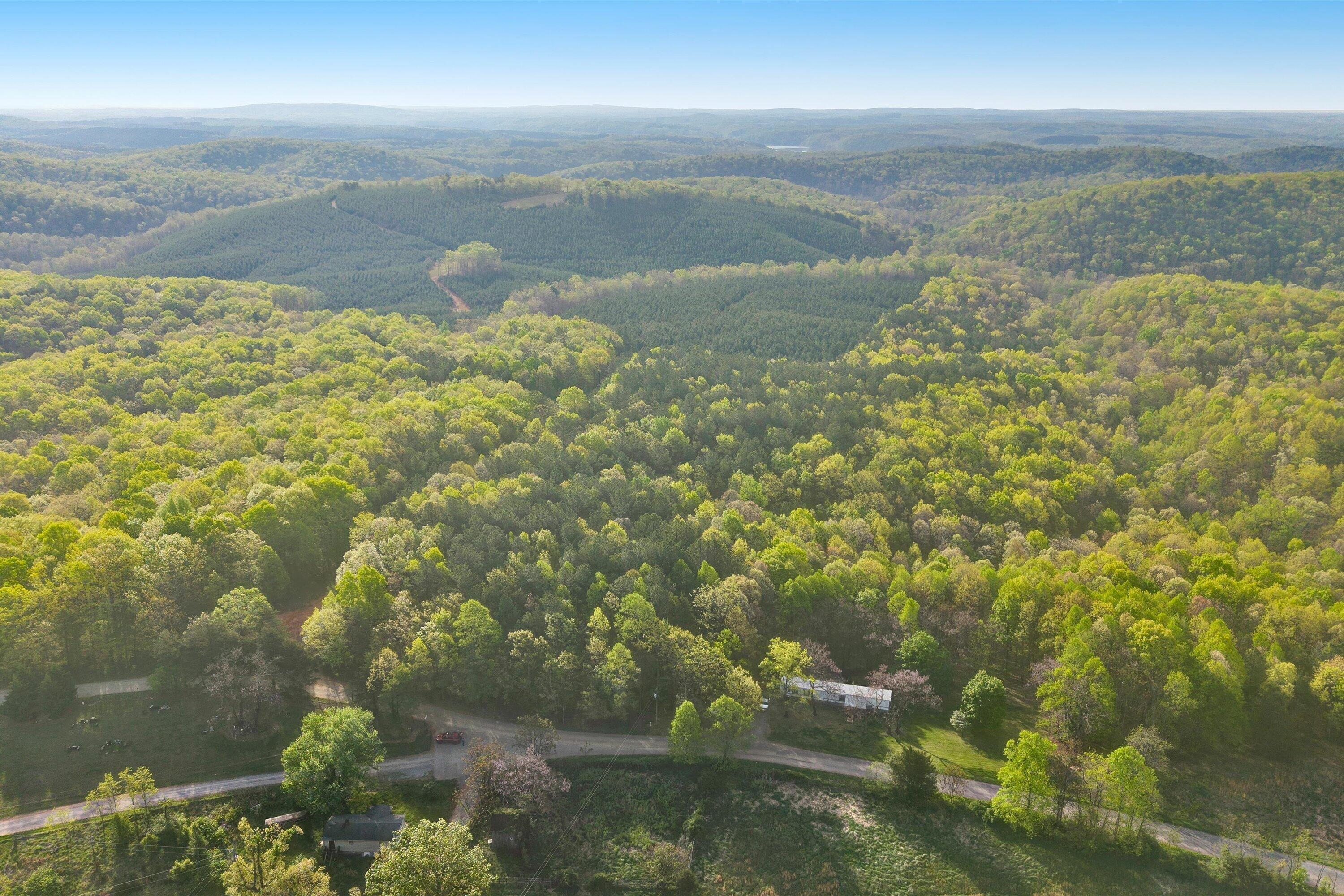 0 Roach Road Huddleston, VA 24104 - Photo 5 of 17 04-SGP-0680