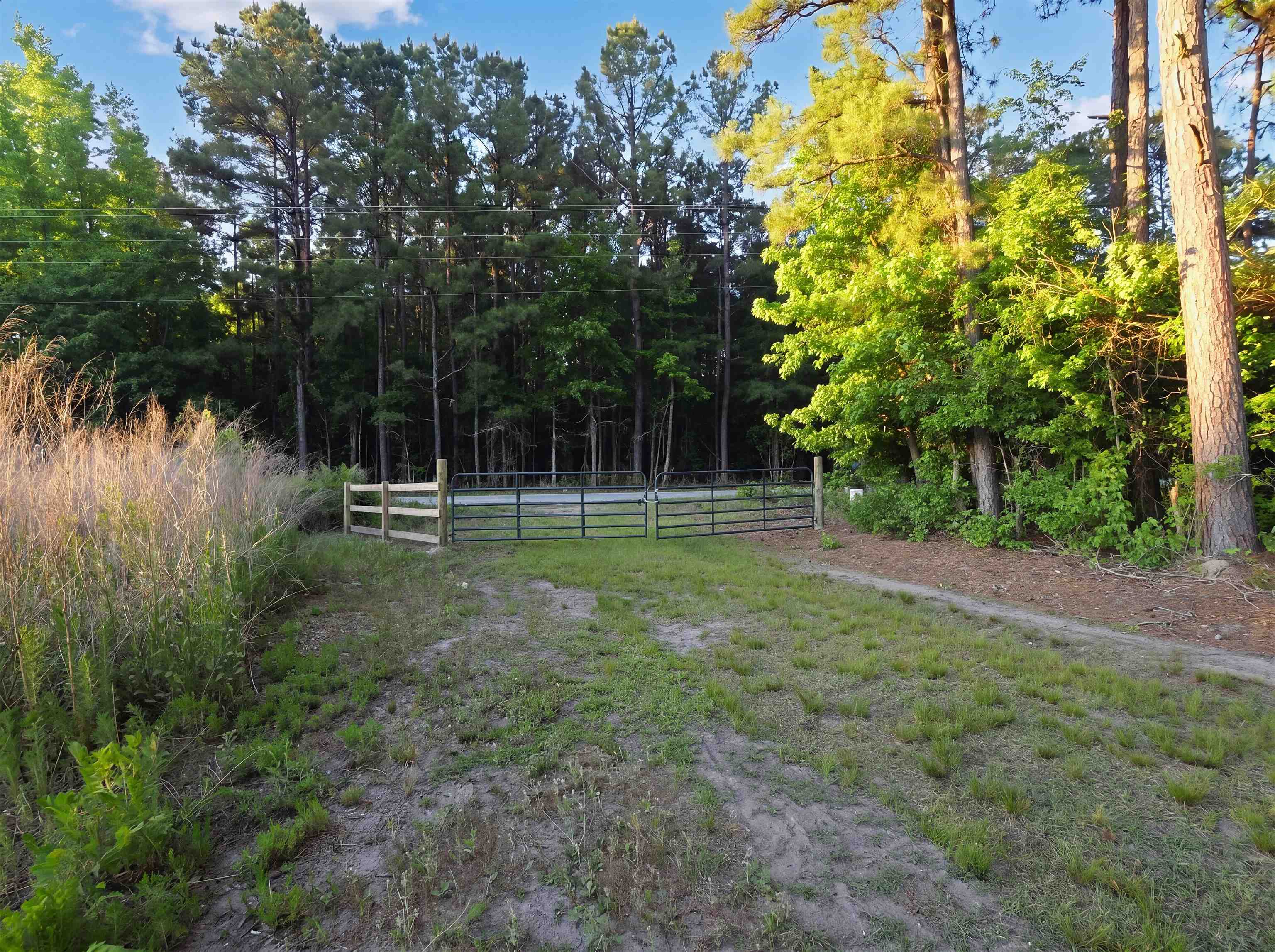 Tbd Tbd Chair Road Hemingway, SC 29554 - Photo 2 of 37