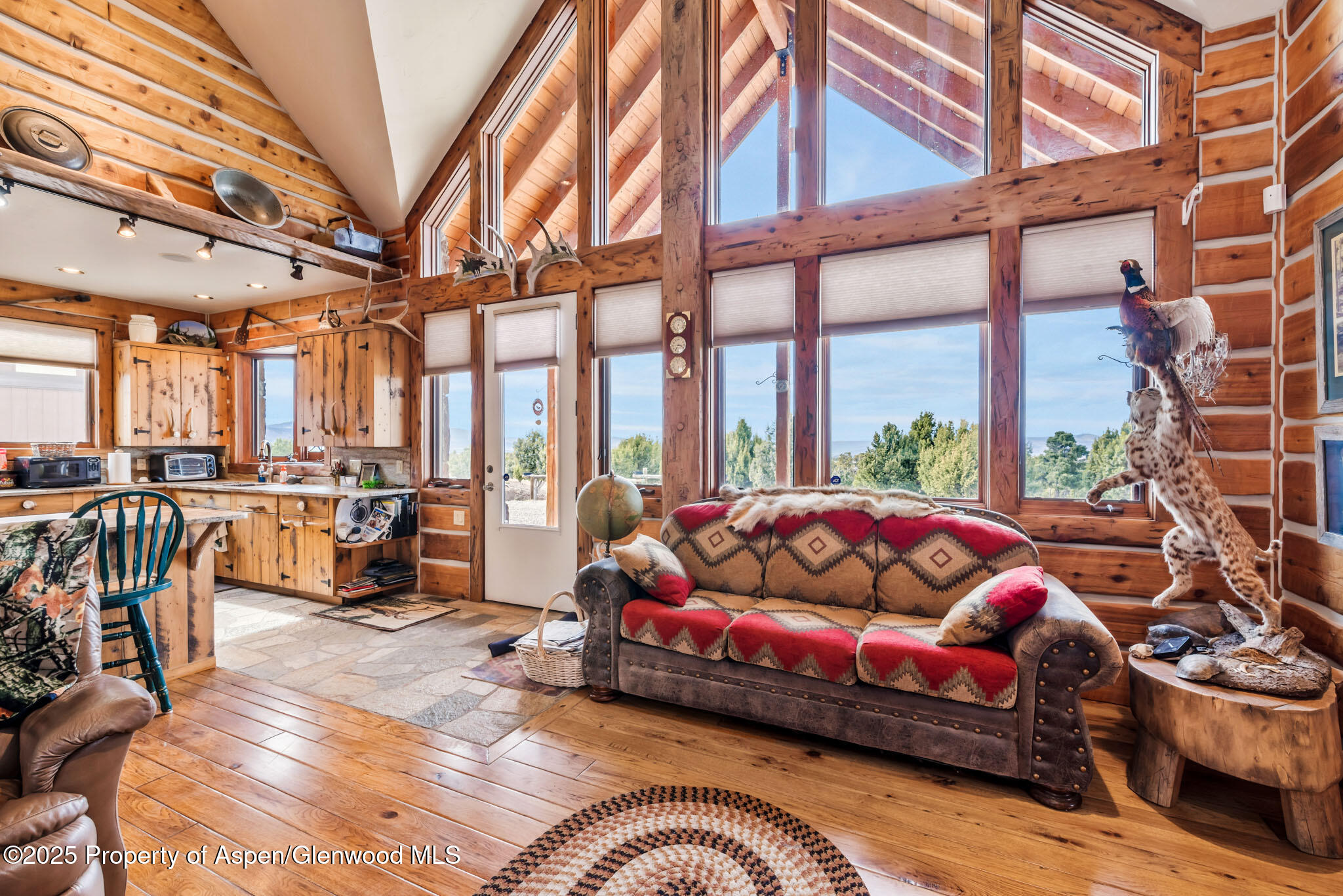 76 County Road Maybell, CO 81640 - Photo 12 of 82 IMGP1616