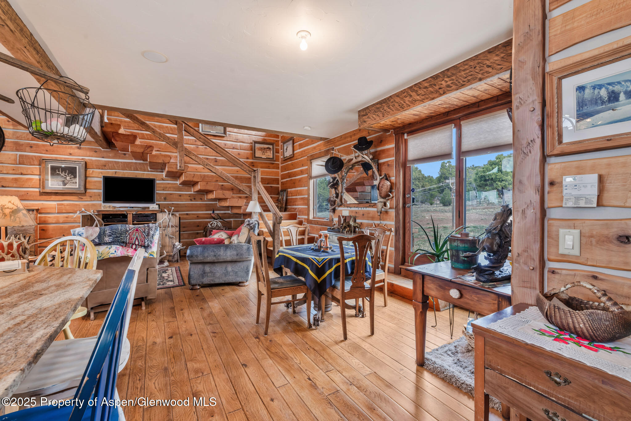 76 County Road Maybell, CO 81640 - Photo 16 of 82 IMGP1656