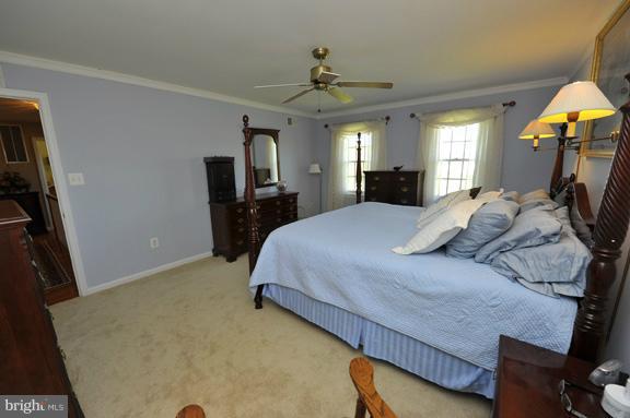 Bedroom (Master)