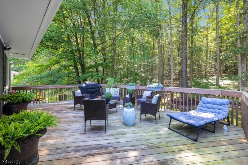 44 Deer Path Drive Flanders, NJ 07836 - Photo 24 of 38