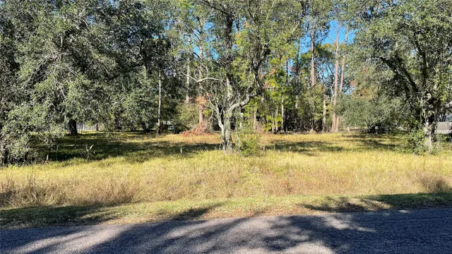 a view of a yard with swimming pool